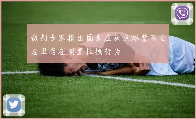 裁判专家指出国米应获点球紫百合后卫存在明显拉拽行为