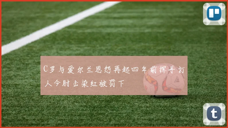 C罗与爱尔兰恩怨再起四年前挥手打人今肘击染红被罚下